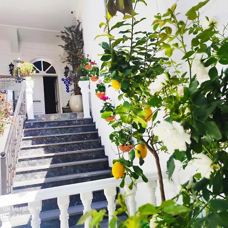 فندق Solomon's Mansion *
