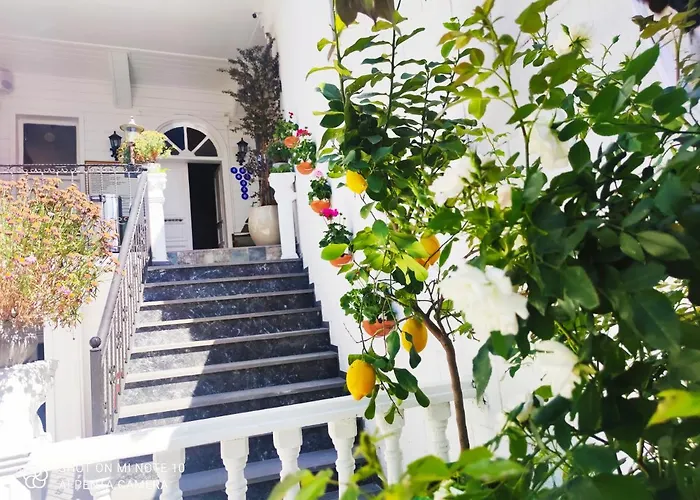 Hotel Solomon's Mansion 3*