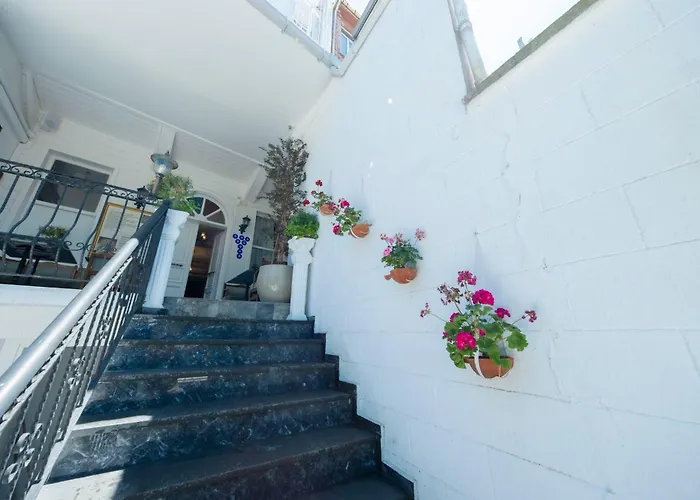 Hotel Solomon's Mansion