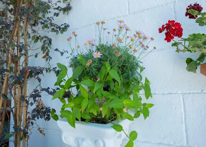 Hotel Solomon's Mansion 3*