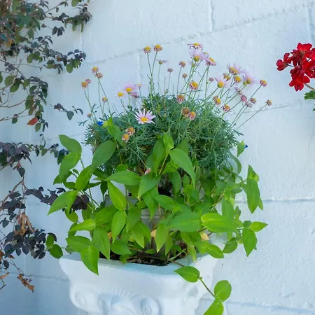 Hotel Solomon's Mansion 3*